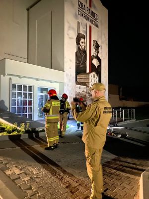 strażacy przed budynkiem