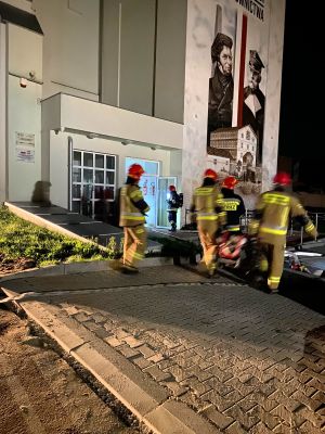 strażacy przed budynkiem